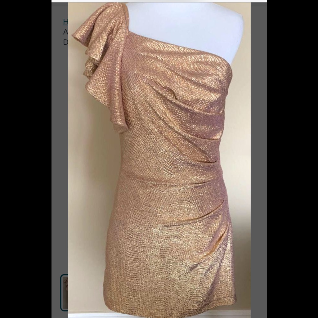 Brand New Arden B Dress